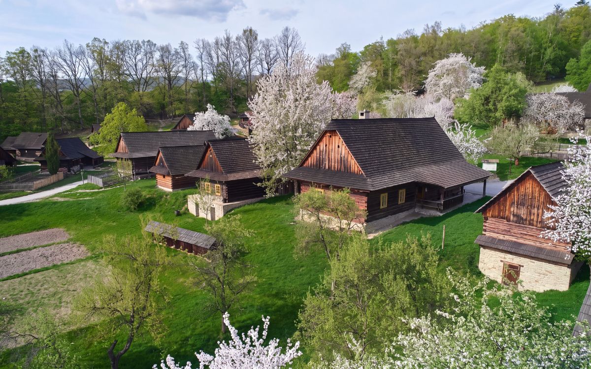 Valašská dědina s roubenými usedlostmi a rozkvetlými stromy